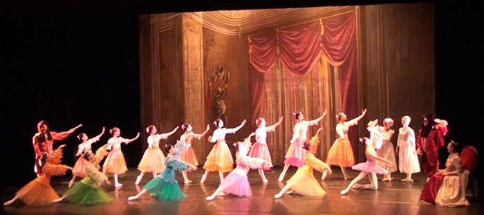 La Belle Au Bois Dormant Ballets Artemis La belle au bois dormant Ballets Artémis