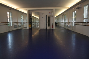 Dance studio with Harlequin Floors
